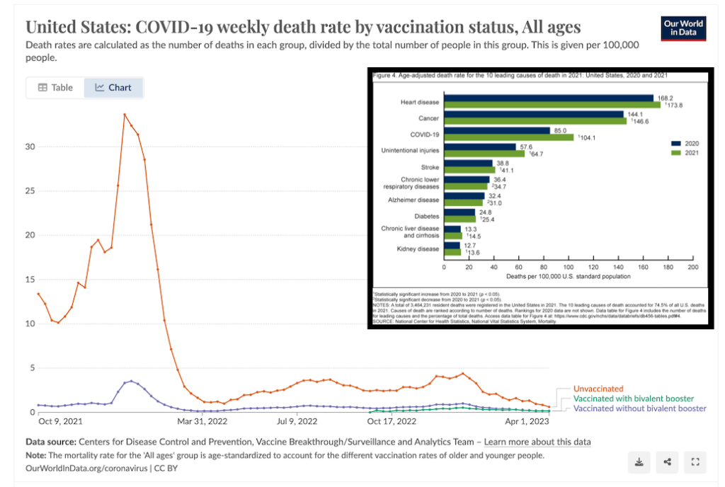 COVID has been a big killer the last few years! How many more would have died without vaccines and other risk reduction strategies?